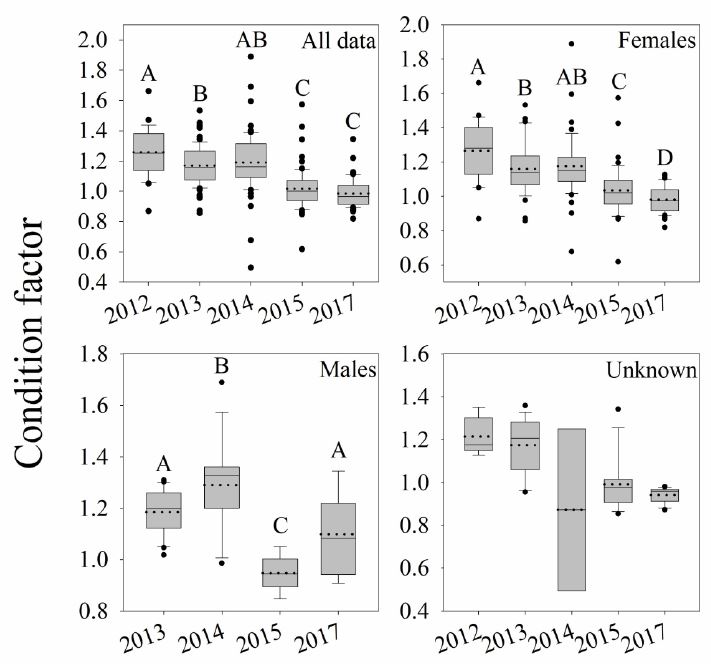 Graph showing the overall decline in the Fulton’s condition factor (K) for tilefish sampled between 2012 and 2017. The Fulton’s condition factor a metric routinely used by fisheries biologists that indicates the weight of a fish at a certain length. The letters (ABC) denote significantly different years. Graph showing the overall decline in the Fulton’s condition factor (K) for tilefish sampled between 2012 and 2017. The Fulton’s condition factor a metric routinely used by fisheries biologists that indicates the weight of a fish at a certain length. The letters (ABC) denote significantly different years.