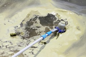 Microcystis algae foam at the Lake Okeechobee shorelinein 2018 (Port Mayaca, Florida). Credit: Brian Cousin, Florida Atlantic University’s Harbor Branch Oceanographic Institute Microcystis algae foam at the Lake Okeechobee shorelinein 2018 (Port Mayaca, Florida). Credit: Brian Cousin, Florida Atlantic University’s Harbor Branch Oceanographic Institute