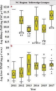 PAHs are increasing in time for several Gulf species, including Grouper, as confirmed in a separate study (https://doi.org/10.1016/j.scitotenv.2019.135551). This graph shows PAH concentrations in the liver (bottom) and the bile (top) of Yellowedge Grouper. Their PAH concentration in the liver increased more than 800 percent from 2011 to 2017. PAHs are increasing in time for several Gulf species, including Grouper, as confirmed in a separate study (https://doi.org/10.1016/j.scitotenv.2019.135551). This graph shows PAH concentrations in the liver (bottom) and the bile (top) of Yellowedge Grouper. Their PAH concentration in the liver increased more than 800 percent from 2011 to 2017.