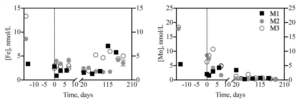 The dots and squares show how concentrations of dissolved iron (left) and manganese (right) changed over time in the three mixed batch cultures of phytoplankton from the Gulf of Mexico that were used for the experiment (M1, M2 and M3). The negative numbers represent the time that the phytoplankton spent growing before the regeneration experiment in the dark. Scientists hypothesize that once phytoplankton die, iron is quickly scavenged by manganese oxides – accumulating in the water column only when manganese is depleted. The dots and squares show how concentrations of dissolved iron (left) and manganese (right) changed over time in the three mixed batch cultures of phytoplankton from the Gulf of Mexico that were used for the experiment (M1, M2 and M3). The negative numbers represent the time that the phytoplankton spent growing before the regeneration experiment in the dark. Scientists hypothesize that once phytoplankton die, iron is quickly scavenged by manganese oxides – accumulating in the water column only when manganese is depleted.
